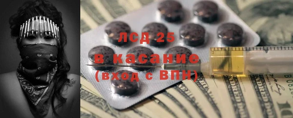 таблы Гусев