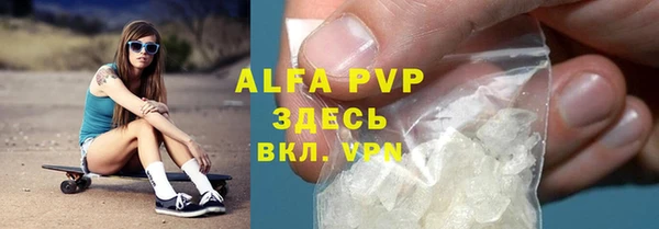 ПСИЛОЦИБИНОВЫЕ ГРИБЫ Гусь-Хрустальный