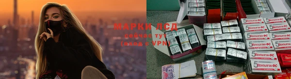 таблы Гусев