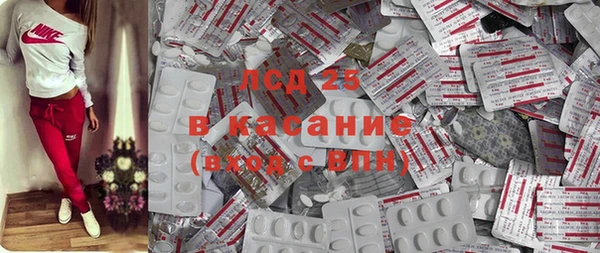 ПСИЛОЦИБИНОВЫЕ ГРИБЫ Гусь-Хрустальный
