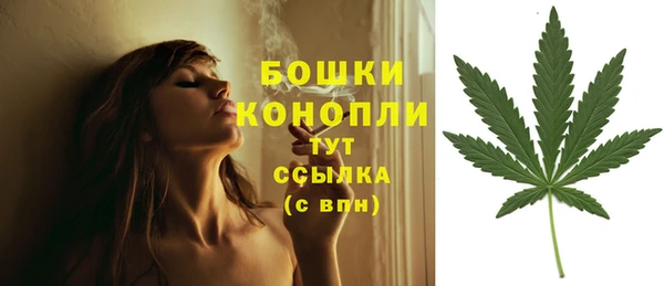 таблы Гусев