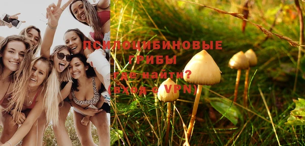 ПСИЛОЦИБИНОВЫЕ ГРИБЫ Гусь-Хрустальный