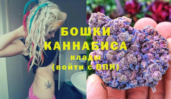 ПСИЛОЦИБИНОВЫЕ ГРИБЫ Кулебаки