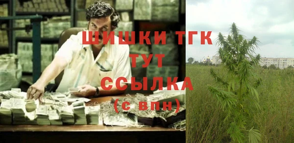 таблы Гусев