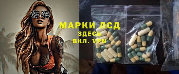 таблы Гусев