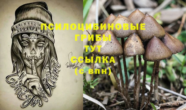 синтетический гашиш Гусиноозёрск