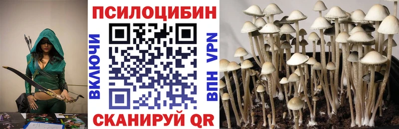 Галлюциногенные грибы Magic Shrooms  Гудермес 