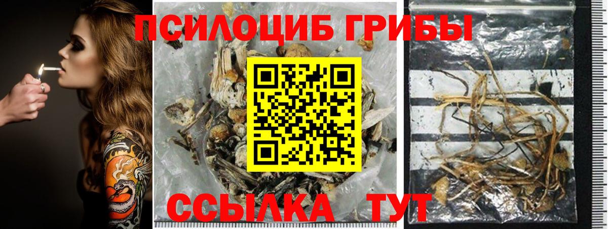 Псилоцибиновые грибы GOLDEN TEACHER Гудермес