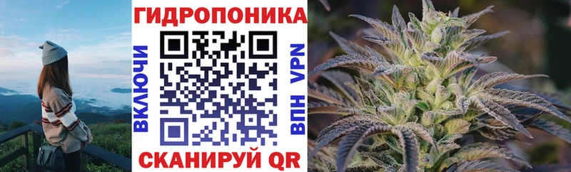 хочу наркоту  Гудермес  MEGA ССЫЛКА  Каннабис AK-47 